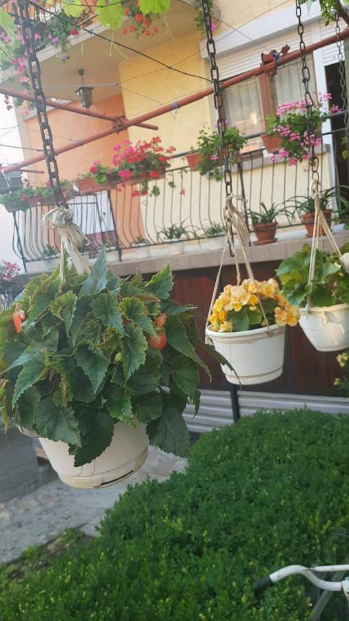 Guest Rooms Ider Sapareva Banya Exterior foto